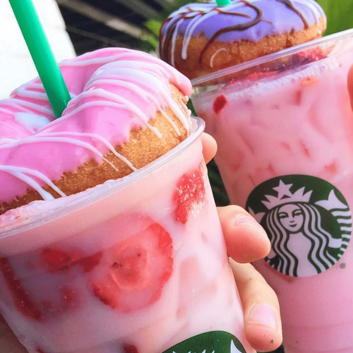 Pink Drink Starbucks Rezept